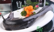 孕婦可以吃鴨嘴魚(yú)嗎?孕婦吃鴨嘴魚(yú)有什么好處? 孕婦可以吃鴨嘴魚(yú)嗎?孕婦吃鴨嘴魚(yú)有什么好處?