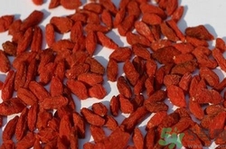 枸杞發(fā)黑能吃嗎？枸杞發(fā)黑是怎么回事？