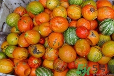 瓜蔞的功效作用 瓜蔞的藥用價(jià)值