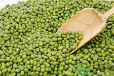 綠豆長(zhǎng)蟲了還能吃嗎?綠豆長(zhǎng)蟲了怎么處理?