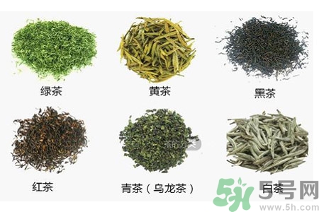 茶葉的種類有哪些？茶葉的功效有哪些？