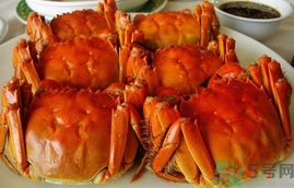 活螃蟹怎么保存過夜?活螃蟹怎么保存不死? 活螃蟹怎么保存過夜?活螃蟹怎么保存不死?