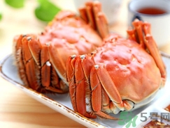 活螃蟹怎么保存過夜?活螃蟹怎么保存不死? 活螃蟹怎么保存過夜?活螃蟹怎么保存不死?