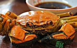 活螃蟹怎么保存時(shí)間長(zhǎng)?活螃蟹怎么保存才新鮮? 活螃蟹怎么保存時(shí)間長(zhǎng)?活螃蟹怎么保存才新鮮?