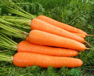 感冒可以吃月餅嗎？感冒期間的飲食禁忌