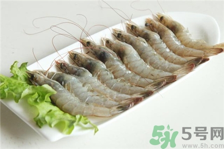 吃基圍蝦可以喝啤酒嗎?吃基圍蝦能喝啤酒嗎? 吃基圍蝦可以喝啤酒嗎?吃基圍蝦能喝啤酒嗎?