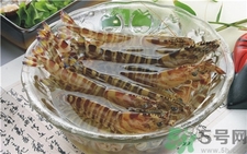 吃基圍蝦可以喝啤酒嗎?吃基圍蝦能喝啤酒嗎? 吃基圍蝦可以喝啤酒嗎?吃基圍蝦能喝啤酒嗎?