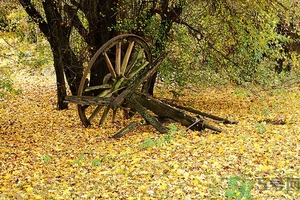 秋燥吃什么好？秋燥怎么辦？