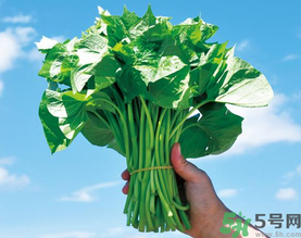 孕婦可以吃地瓜葉嗎？孕婦吃地瓜葉的好處