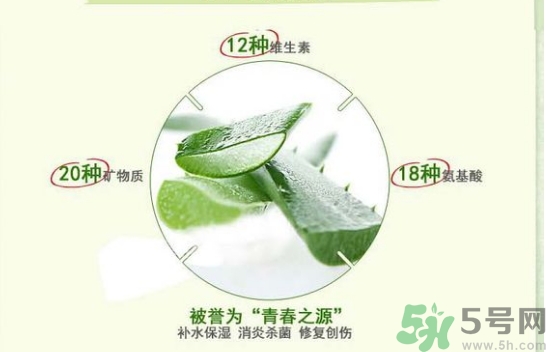 the saem得鮮和自然樂園哪個好？得鮮的蘆薈膠和自然樂園哪個好？