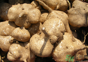 地瓜可以和蝦一起吃嗎？地瓜和什么不能一起吃？