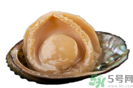 鮑魚如何挑選？鮑魚怎么保存？