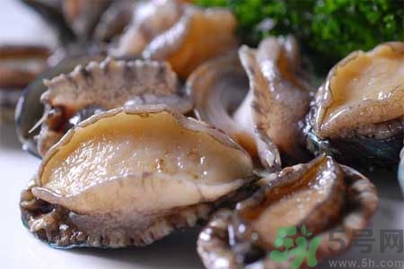 鮑魚的營養(yǎng)價(jià)值有哪些？鮑魚的藥用價(jià)值是什么？