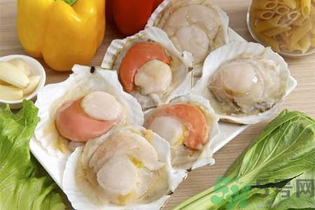 如何挑選扇貝？活扇貝怎么保存？