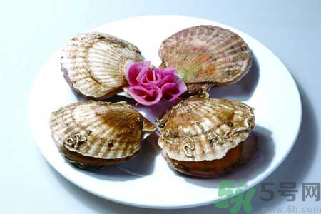 如何挑選扇貝？活扇貝怎么保存？