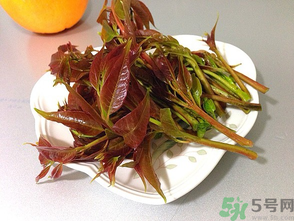 孕婦可以吃香椿嗎？孕婦吃香椿的好處及注意事項