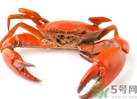 螃蟹怎么洗?螃蟹的清洗方法 螃蟹怎么洗?螃蟹的清洗方法