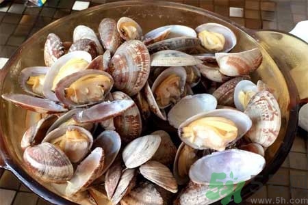 蛤蜊的食用方法有哪些？蛤蜊的營(yíng)養(yǎng)價(jià)值是什么？