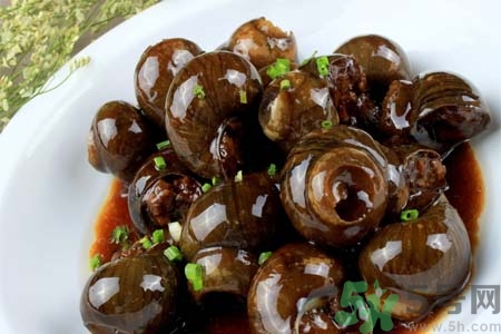 田螺肉怎樣做？田螺的營(yíng)養(yǎng)價(jià)值有哪些？