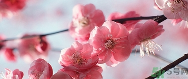 歐舒丹是什么牌子？歐舒丹是什么檔次的牌子？