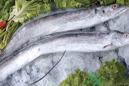 凍帶魚(yú)怎么解凍？帶魚(yú)內(nèi)臟怎么洗？