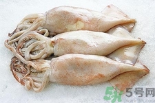 魷魚怎么處理？干魷魚怎么泡發(fā)？