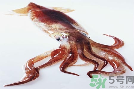 魷魚怎么處理？干魷魚怎么泡發(fā)？