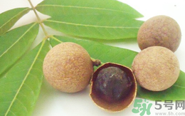 孕婦可以吃干桂圓嗎？孕婦吃干桂圓好嗎？