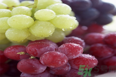 葡萄怎么洗？葡萄干怎么洗？