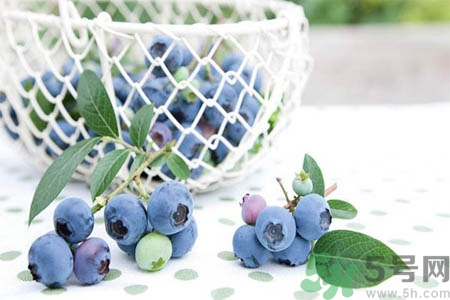 藍(lán)莓怎么洗？藍(lán)莓可以怎么吃？
