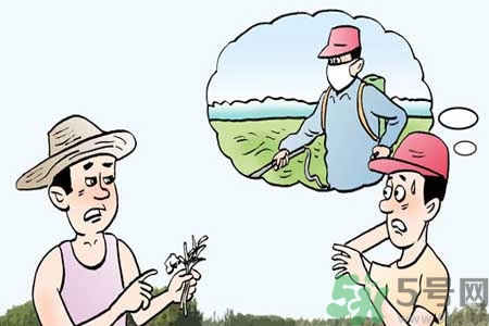 如何去除蔬菜上農(nóng)藥殘留？清洗農(nóng)藥小竅門有哪些？