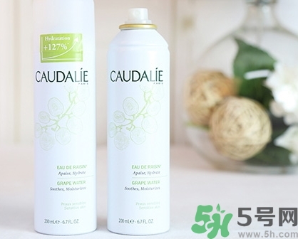 歐緹麗大葡萄噴霧成分 歐緹麗大葡萄噴霧味道 歐緹麗大葡萄噴霧成分 歐緹麗大葡萄噴霧味道