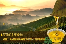 茶油是什么？茶油怎么吃？