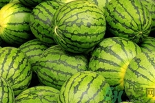 西瓜牛奶可以一起吃嗎？西瓜牛奶怎么做好吃？