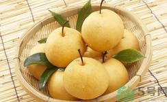 娃娃梨是怎么種出來的？娃娃梨為什么外形像娃娃？