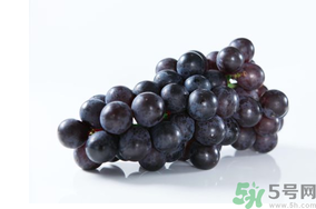 巨峰葡萄營(yíng)養(yǎng)價(jià)值 巨峰葡萄幾月份成熟