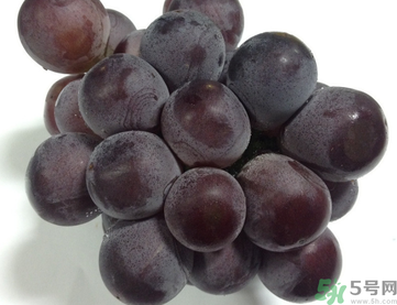 孕婦可以吃巨峰葡萄嗎？孕婦吃葡萄好嗎？