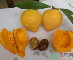 蛋黃果怎么吃？蛋黃果的功效與作用