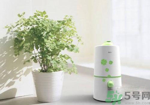 用加濕器好不好？用加濕器有什么危害？