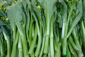 產(chǎn)婦能吃芥藍(lán)嗎？產(chǎn)婦吃芥藍(lán)的注意事項(xiàng)