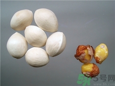 吃白果對女人有什么好處?吃白果對婦科有好處嗎? 吃白果對女人有什么好處?吃白果對婦科有好處嗎?