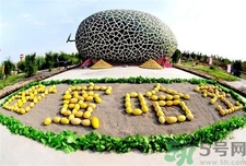 哈密瓜可以和香蕉一起吃嗎?哈密瓜香蕉能一起吃嗎? 哈密瓜可以和香蕉一起吃嗎?哈密瓜香蕉能一起吃嗎?