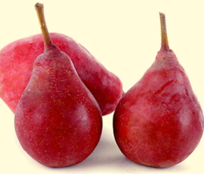 啤梨的功效與作用 啤梨的營養(yǎng)價值及食用方法 啤梨的功效與作用 啤梨的營養(yǎng)價值及食用方法