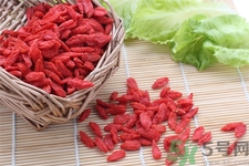 枸杞子泡酒怎么泡？枸杞酒的制作方法是什么？