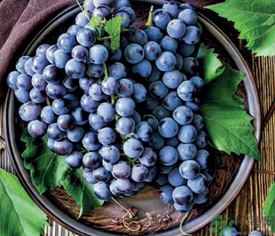 巨峰葡萄怎么挑？巨峰葡萄怎么洗？