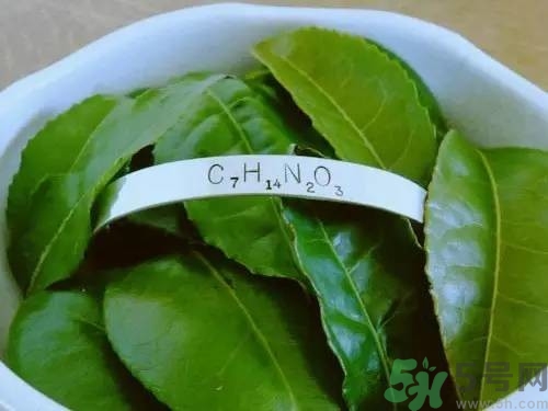 睡眠水為什么可以讓人入睡？可口可樂睡眠水有什么副作用？