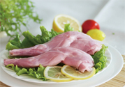 兔肉不能和什么一起吃？什么人不能吃兔肉？