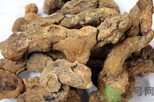 黃精的功效與作用及食用方法 黃精的副作用 黃精的功效與作用及食用方法 黃精的副作用