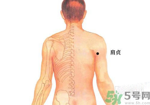 肩周炎艾灸有用嗎？肩周炎艾灸哪些部位？