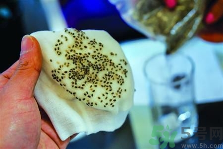 奇亞籽怎么吃?奇亞籽的正確吃法 奇亞籽怎么吃?奇亞籽的正確吃法